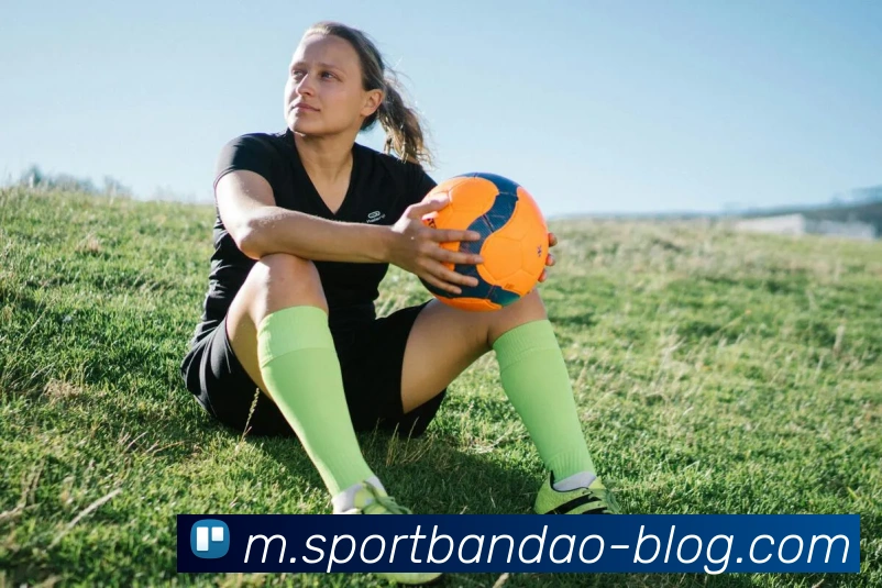 半岛体育APP 高清赛事图